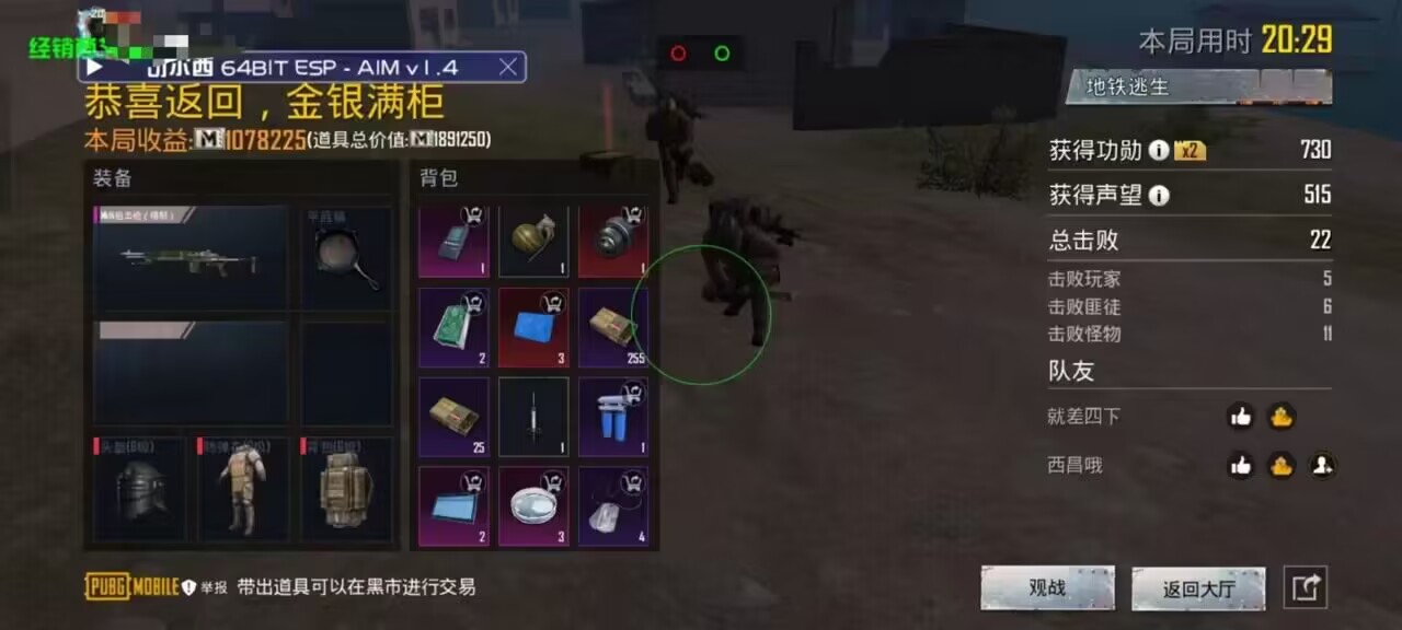 和平精英【EAD内部】辅助